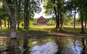Au bord du lac IV